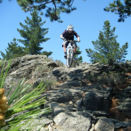 Mountain biker in Alexandra cross country riding
