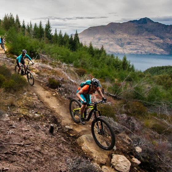 Epic Queenstown Bike trail beeched as